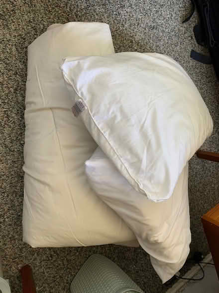 Photo of free Duvet and 2 pillows (Stevenage, pin green SG1) #1