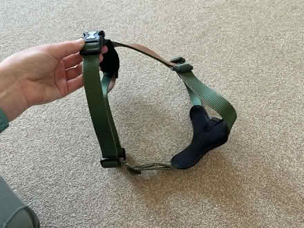 Photo of free Large dog harness NEW (Teddington TW11) #2