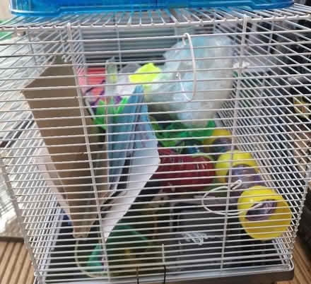 Photo of free Hamster cages and accessories (Stannington S6) #3