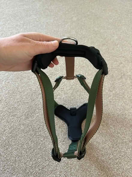 Photo of free Large dog harness NEW (Teddington TW11) #3