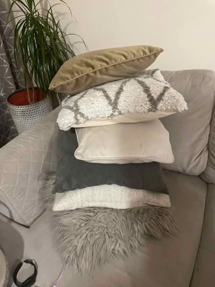 Photo of free Assorted cushions (SE4, brockley) #1