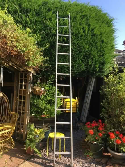 Photo of free Ladder (Lower Wick WR2) #2