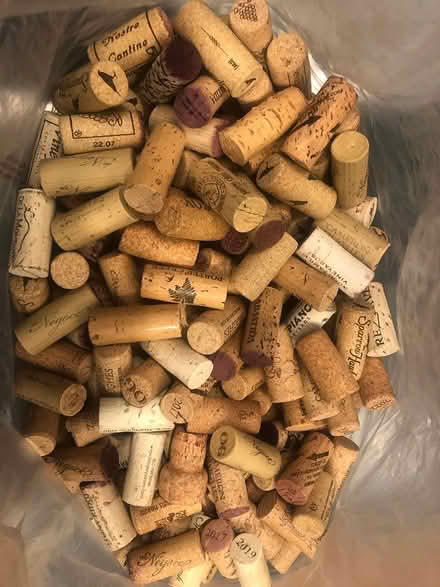Photo of free Wine Corks (CV: Redwood & Seven Hills area) #2