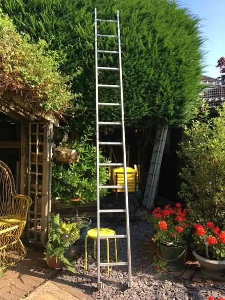 Photo of free Ladder (Lower Wick WR2) #1