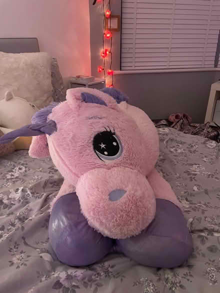 Photo of free cuddly toy unicorn (Enfield EN1) #1