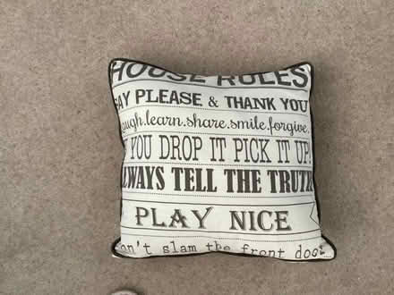 Photo of free Novelty cushion (Ashington NE63) #1