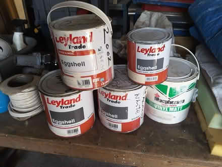 Photo of free few tins of paint, mostly eggshell (The Rock TF3) #1