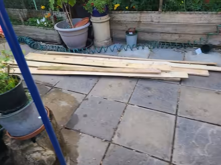 Photo of free Wood (Eltham SE9) #1