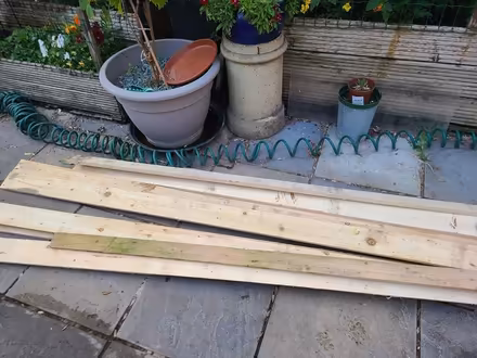 Photo of free Wood (Eltham SE9) #2