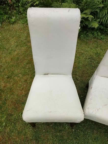 Photo of free Dining chairs reupholstery project (Rochdale OL12) #2