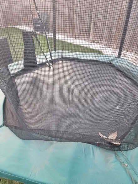 Photo of free Trampoline (DA2)