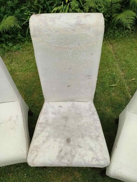 Photo of free Dining chairs reupholstery project (Rochdale OL12) #4