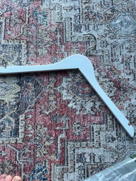 Photo of free Hangers (Waterlooville PO7) #1