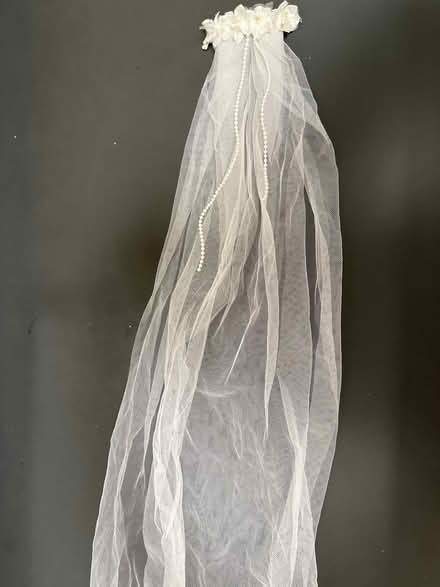 Photo of free Bachelorette Party props (North Bethesda) #1