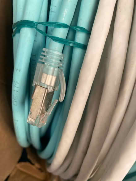 Photo of free Cat7/8 (WV3) #2
