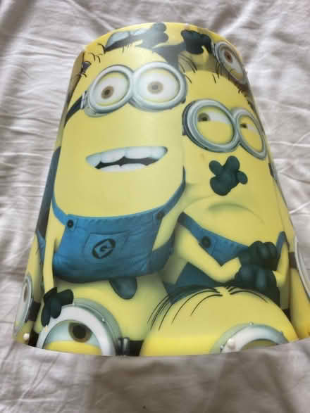 Photo of free Minions light shield (Furze Platt SL6) #1