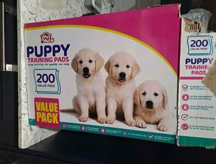 Photo of free Puppy Training Pads (Oadby Near Asda LE2) #1