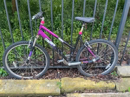 Photo of free Purple adults bike (LS2, Woodhouse) #1