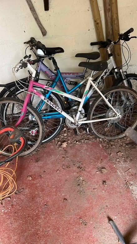 Photo of free Ladies, gents & Childs bike (Tenbury Wells WR15) #1