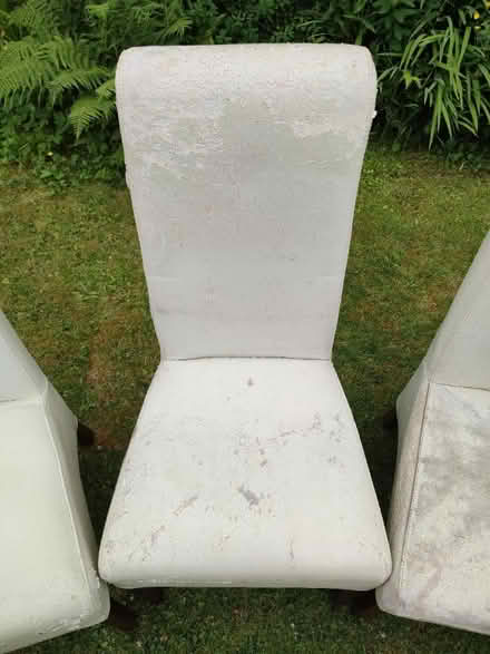 Photo of free Dining chairs reupholstery project (Rochdale OL12) #3