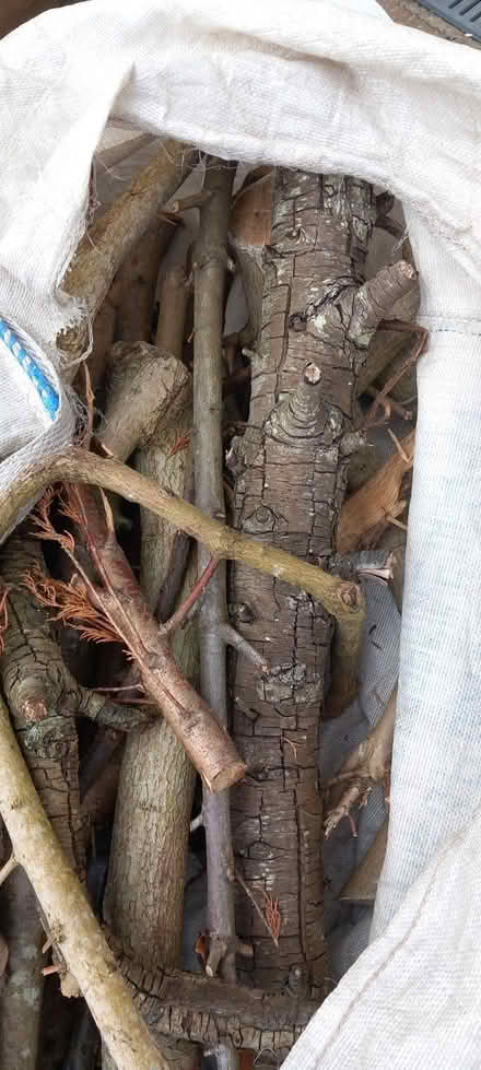 Photo of free Firewood (Ainsdale PR8) #2