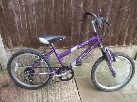 Photo of free Child's bicycle - 20" wheels. 7-9 year old? (Heath Hayes WS12) #1