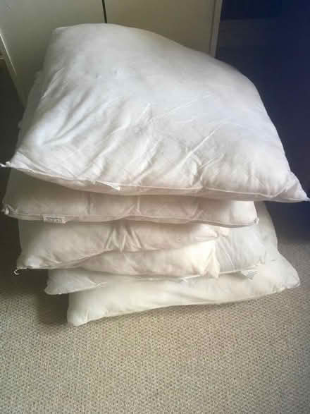 Photo of free Cushion Inners (Northmoor OX29) #1