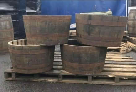 Photo of Huge plant pot (RG1) #1