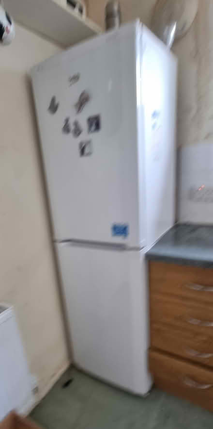 Photo of free Tall Fridge Freezer (Welwyn Garden City - AL7) #2
