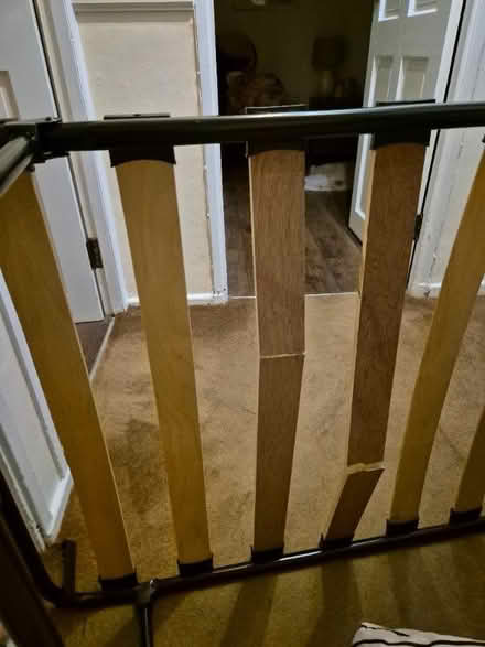 Photo of free Foldable guest bed (Stockwell SW9) #4