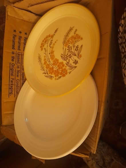 Photo of free Random Plates, saucers. (Loughton IG10) #1