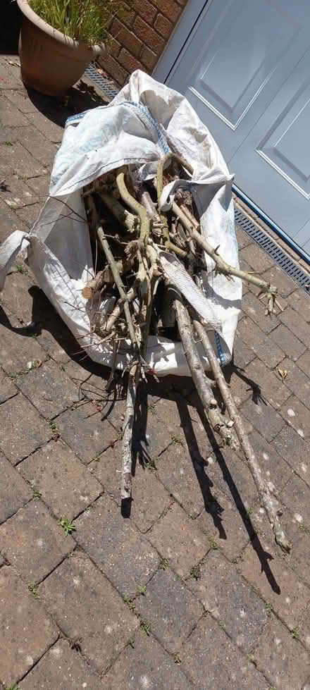 Photo of free Firewood (Ainsdale PR8) #1