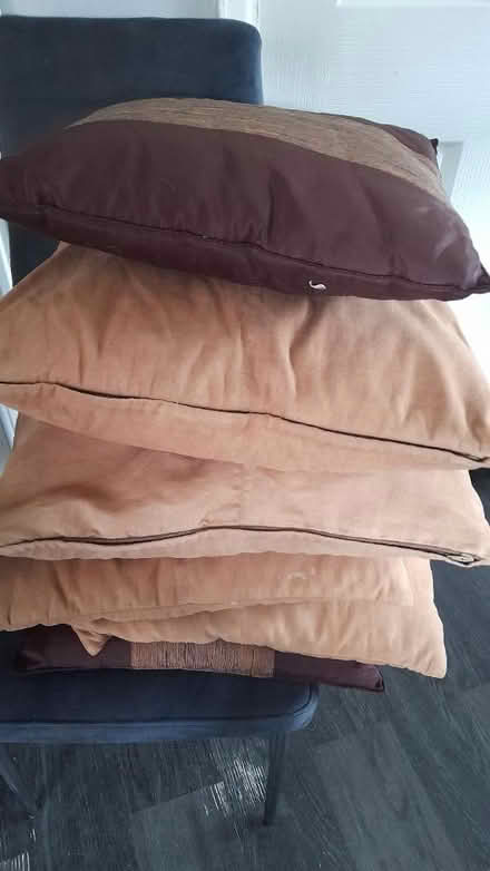 Photo of free 6 Cushions puo m20 1aw (Withington M20) #1
