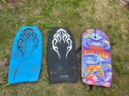 Photo of free Boogie boards x 3 (Crouch End N8) #1