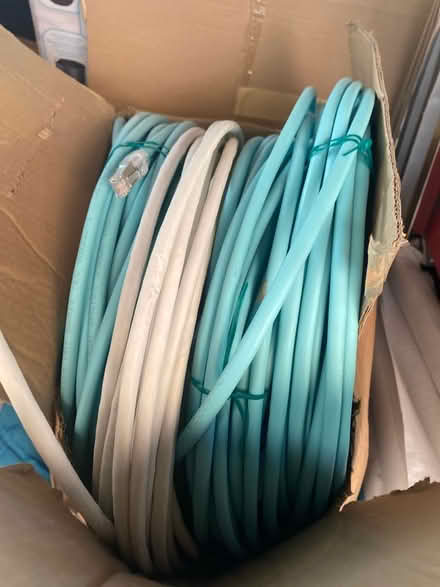 Photo of free Cat7/8 (WV3) #1