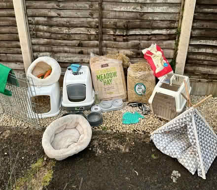 Photo of free Rabbit bundle (Montford Bridge) #1