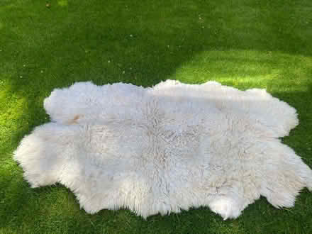 Photo of free Faux sheepskin rug (Kings Heath B14) #1