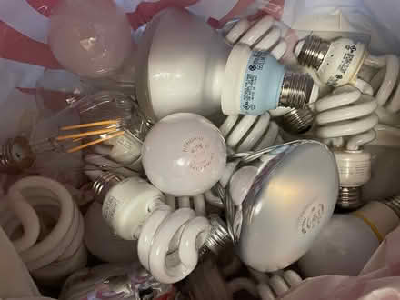 Photo of free Lightbulbs (Lawrence and El Camino) #2