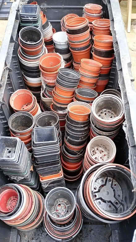 Photo of free Plastic plant pots (Pannal HG2) #1