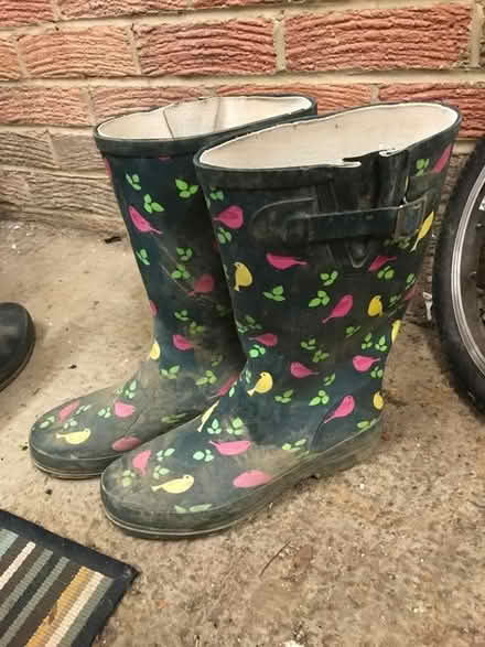 Photo of free Women’s Welly Boots - Cracked! (CT14) #2