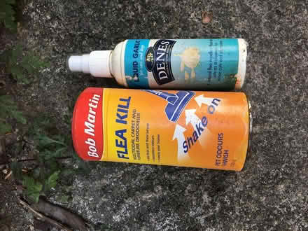 Photo of free Flea treatments (Freshford BA2) #1