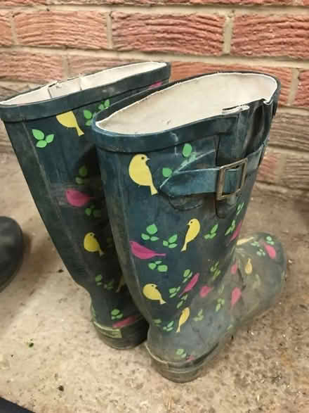 Photo of free Women’s Welly Boots - Cracked! (CT14) #1