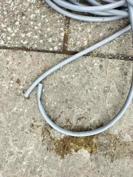 Photo of free Ex Condition Reel Garden Hose (Waterlooville PO7) #3