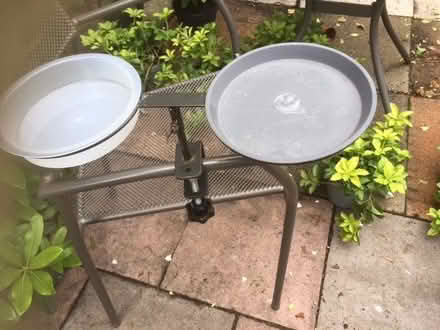 Photo of free birdfeeder (Chipstead TN13) #1