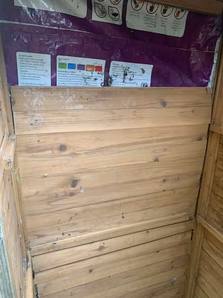 Photo of free Shed (Wood Street E17) #2