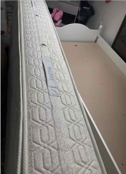 Photo of free deep clean single mattress (Turnpike Lane N8) #1