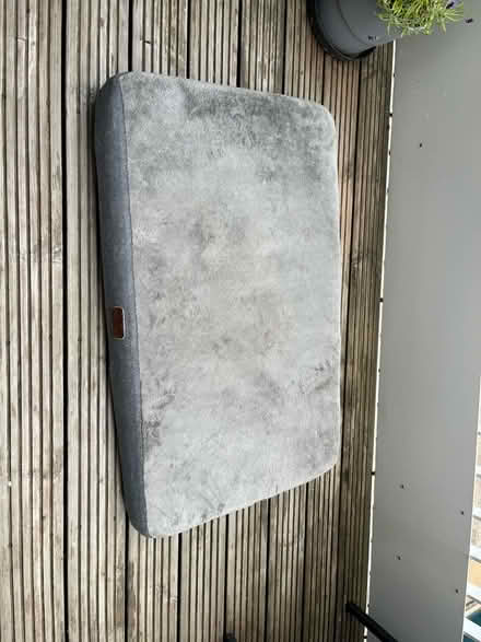 Photo of free Large dog bed (South Acton W3) #1