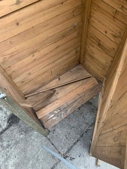 Photo of free Shed (Wood Street E17) #4