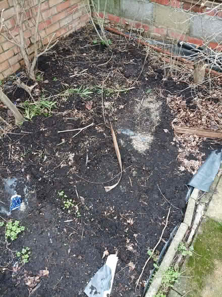 Photo of free Compost for garden (Cranford TW5) #1