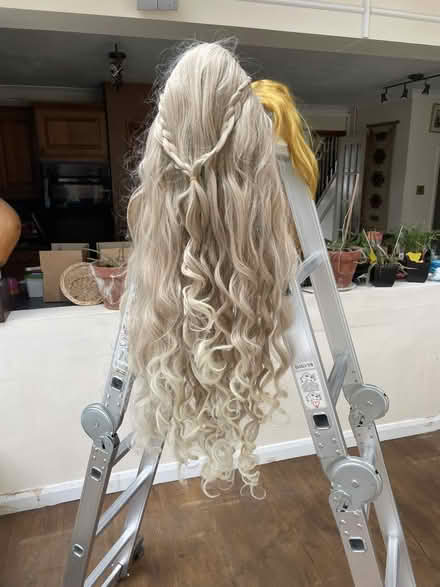 Photo of free Wigs (South Ham RG22) #2